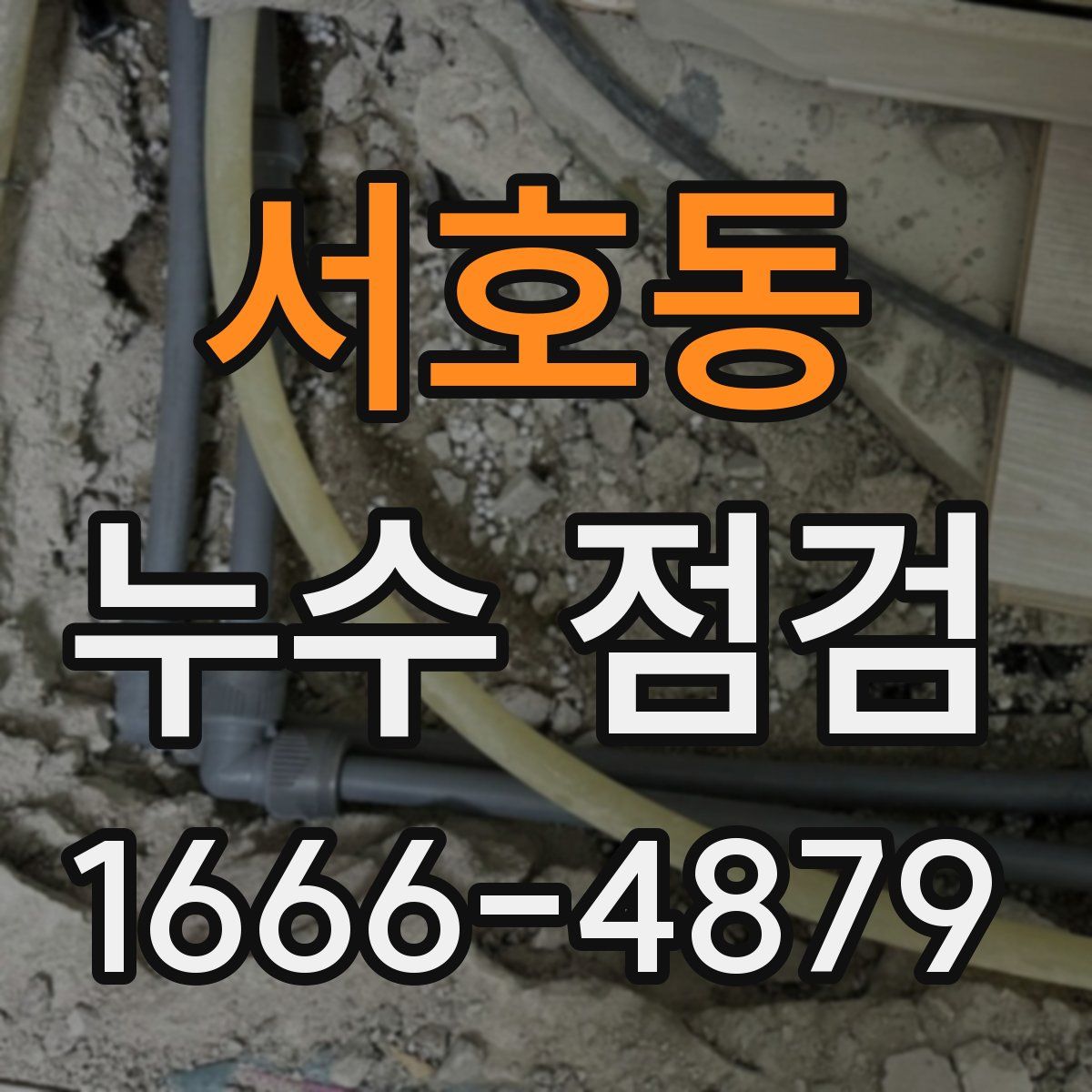 서호동 누수 점검