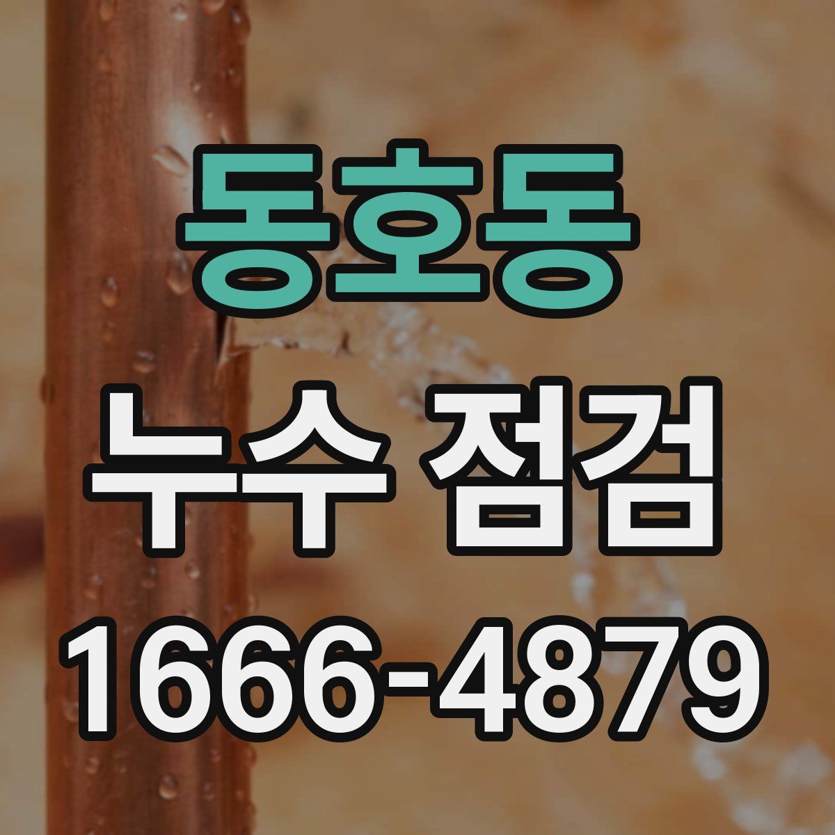 동호동 누수 점검