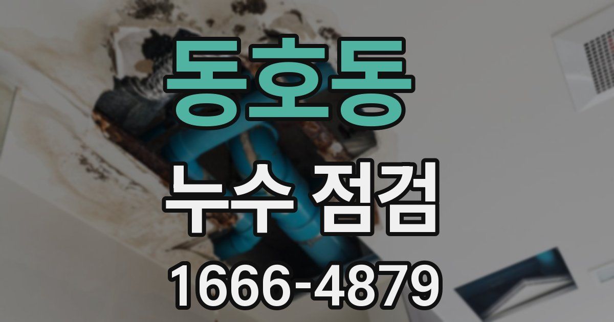 동호동 누수 점검