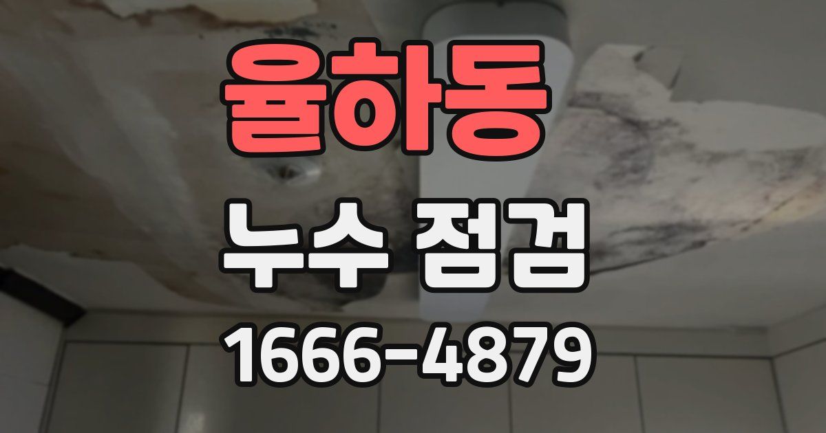 율하동 누수 점검
