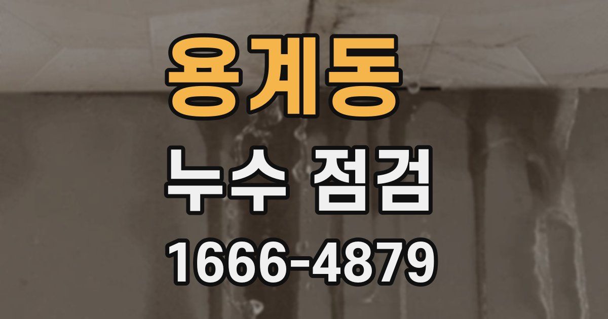 용계동 누수 점검