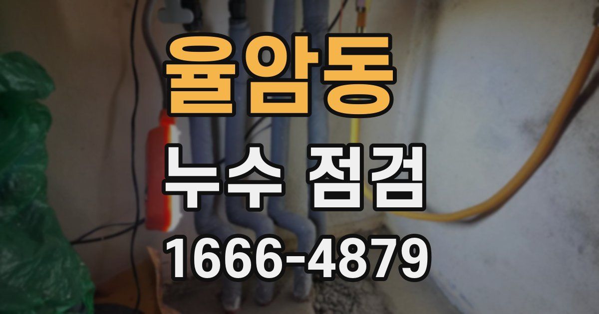 율암동 누수 점검