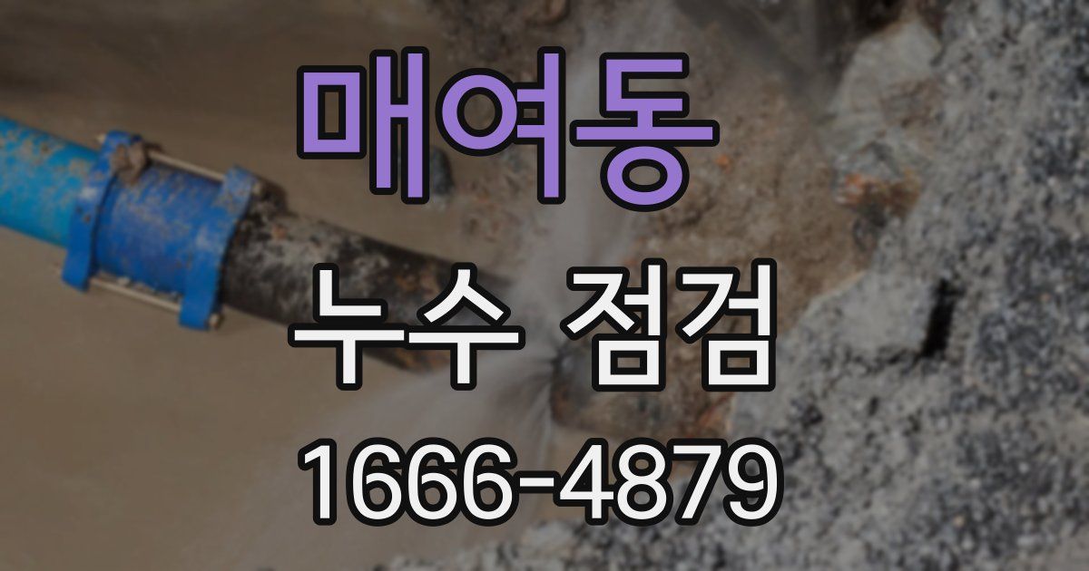 매여동 누수 점검