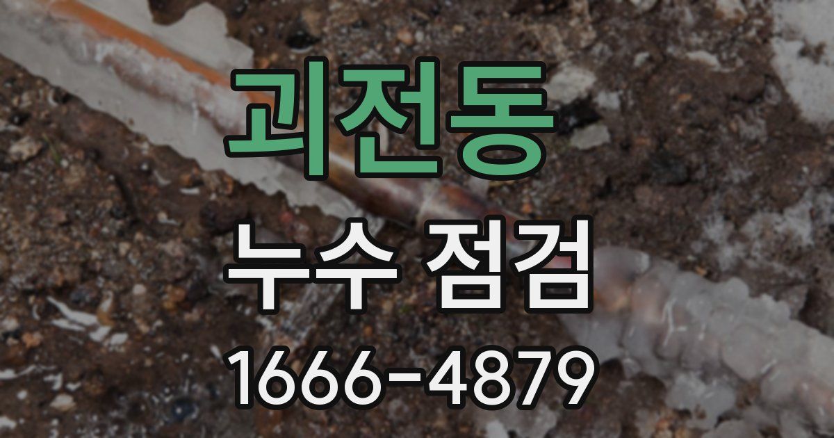 괴전동 누수 점검