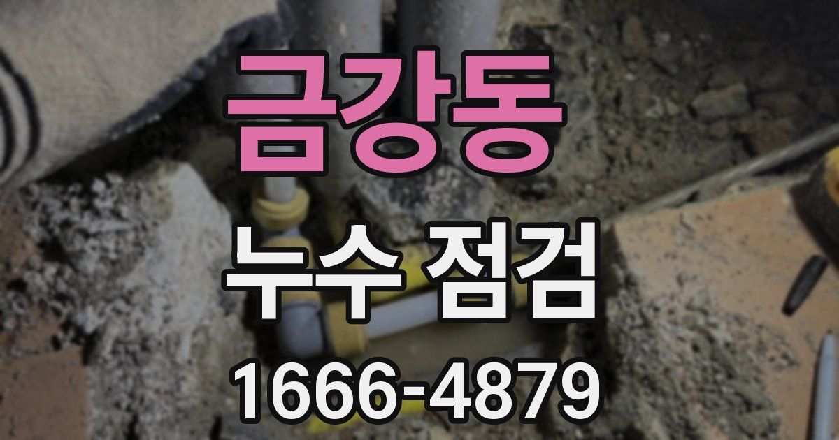 금강동 누수 점검