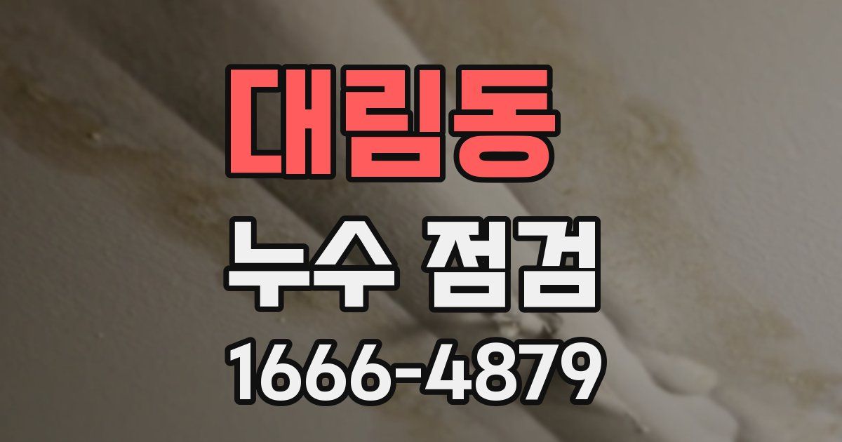 대림동 누수 점검