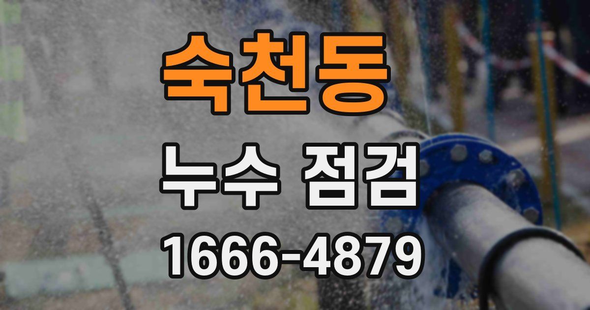 숙천동 누수 점검
