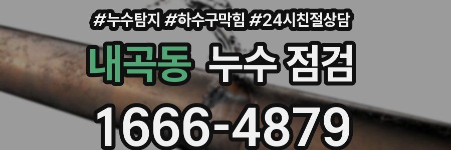 내곡동 누수 점검