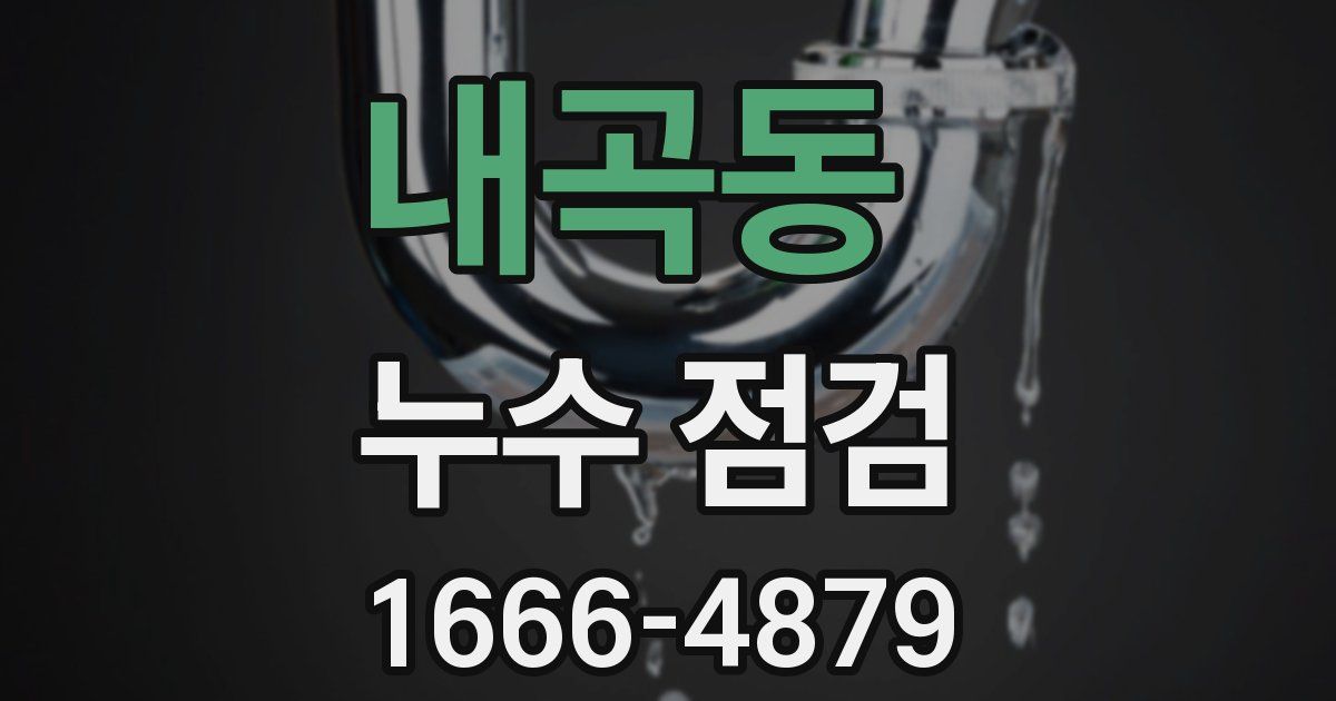 내곡동 누수 점검