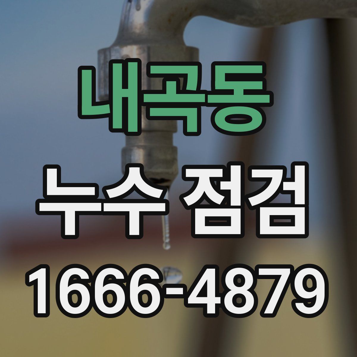 내곡동 누수 점검