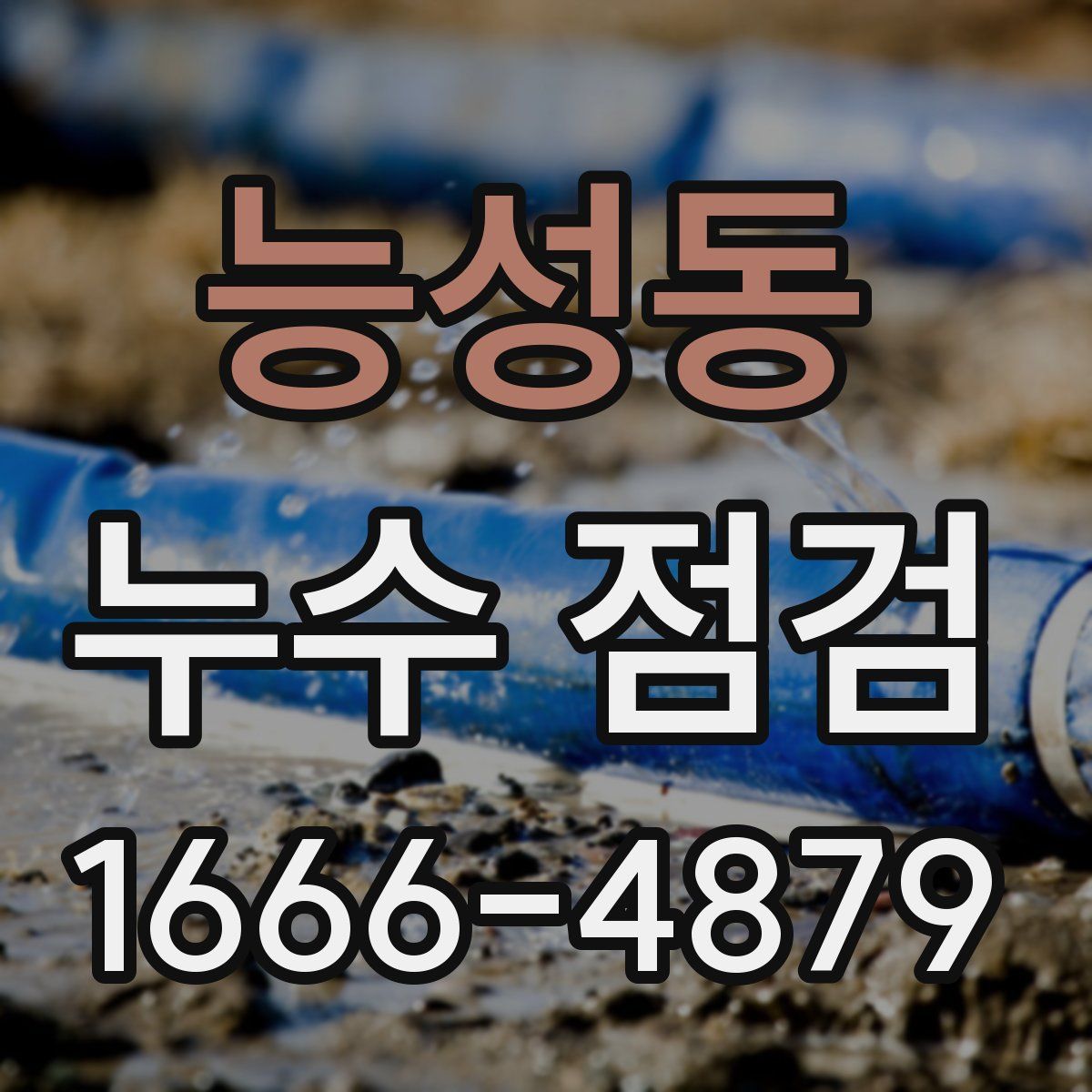 능성동 누수 점검