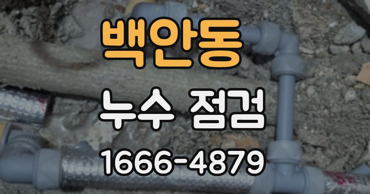 백안동 누수 점검