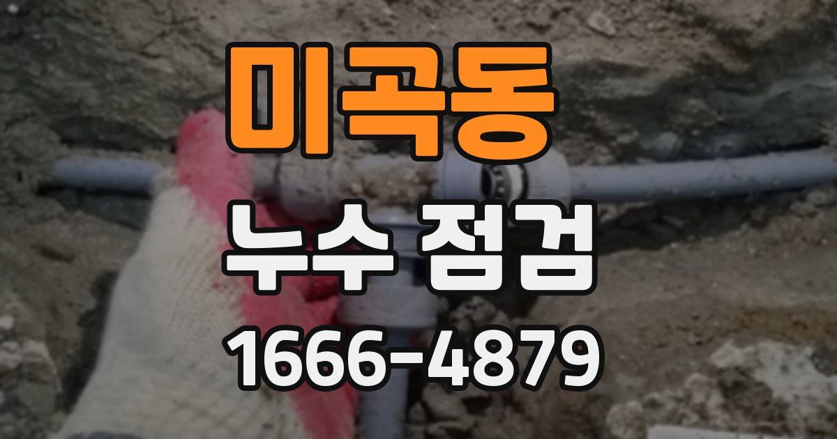 미곡동 누수 점검