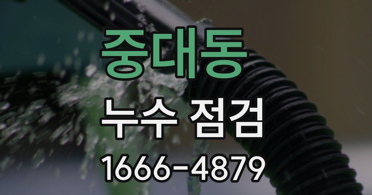 중대동 누수 점검