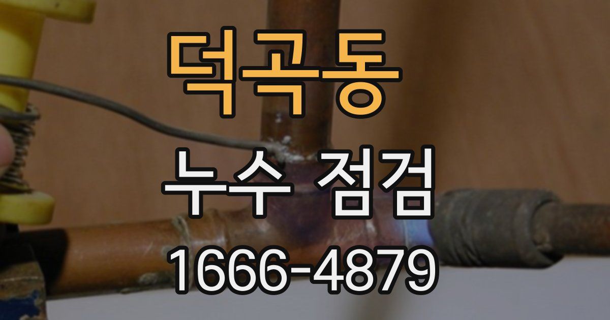 덕곡동 누수 점검