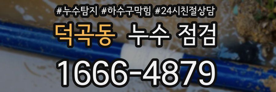 덕곡동 누수 점검