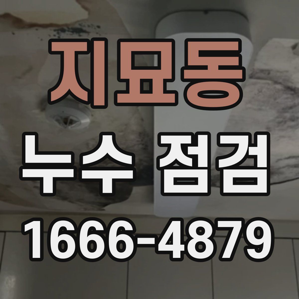 지묘동 누수 점검