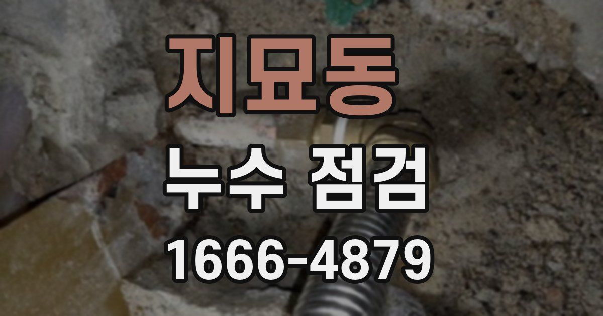 지묘동 누수 점검
