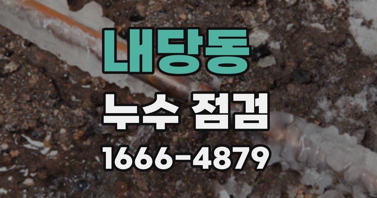 내당동 누수 점검