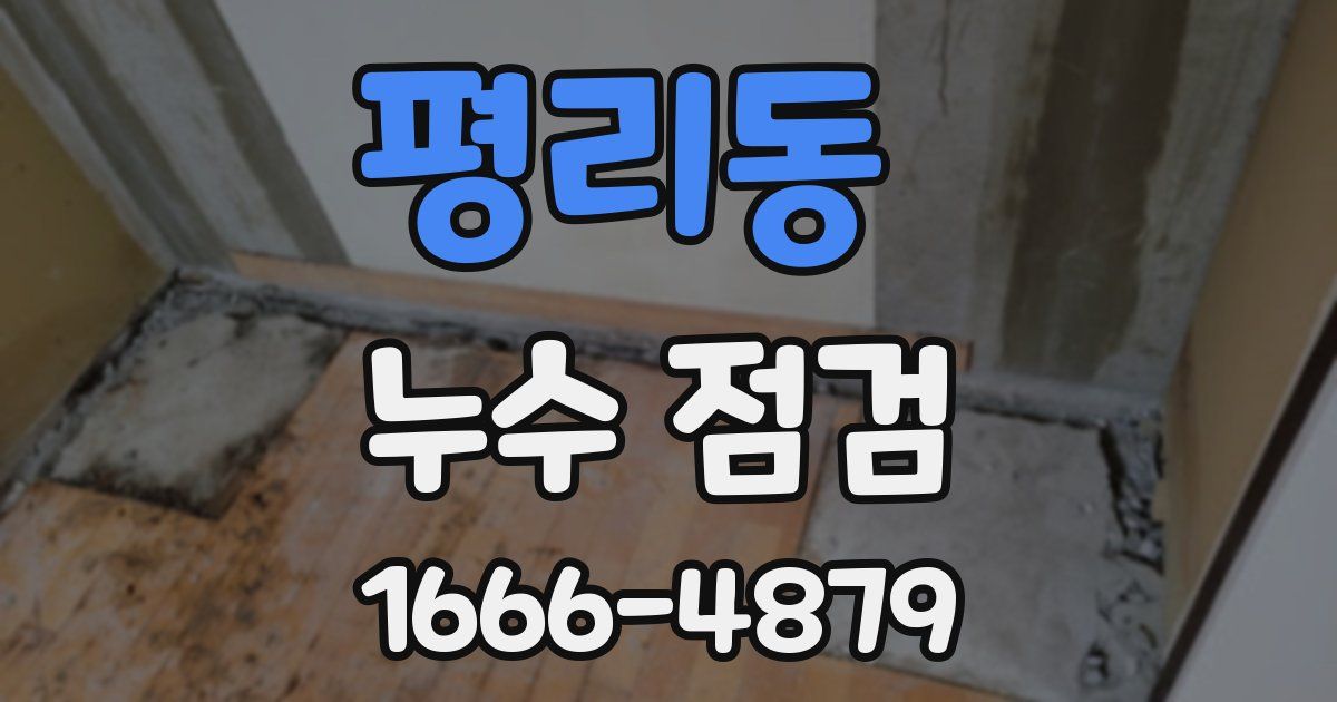평리동 누수 점검