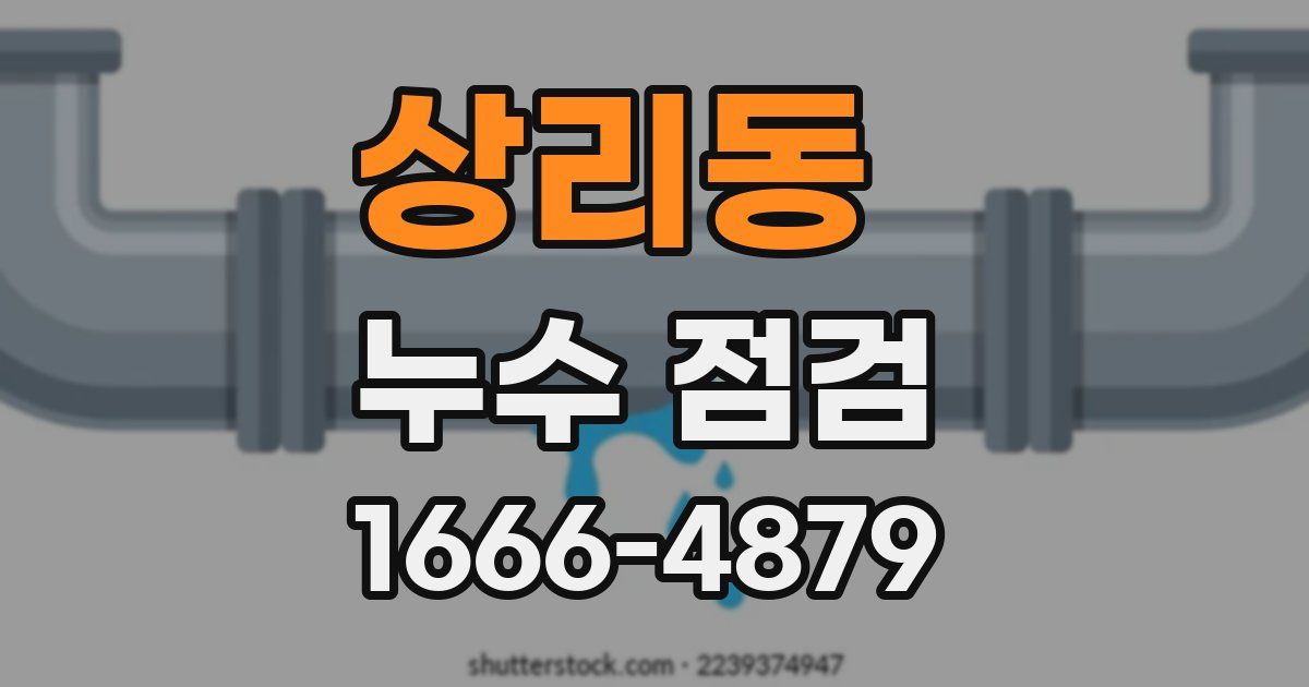 상리동 누수 점검