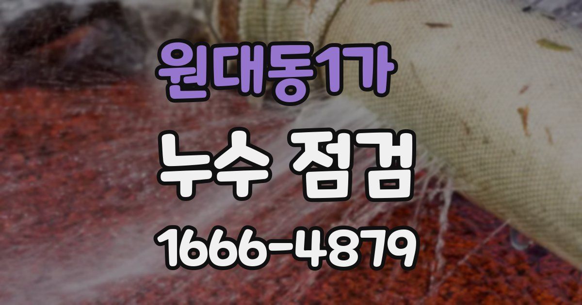 원대동1가 누수 점검