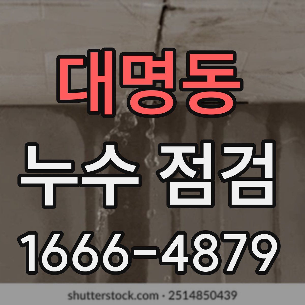 대명동 누수 점검