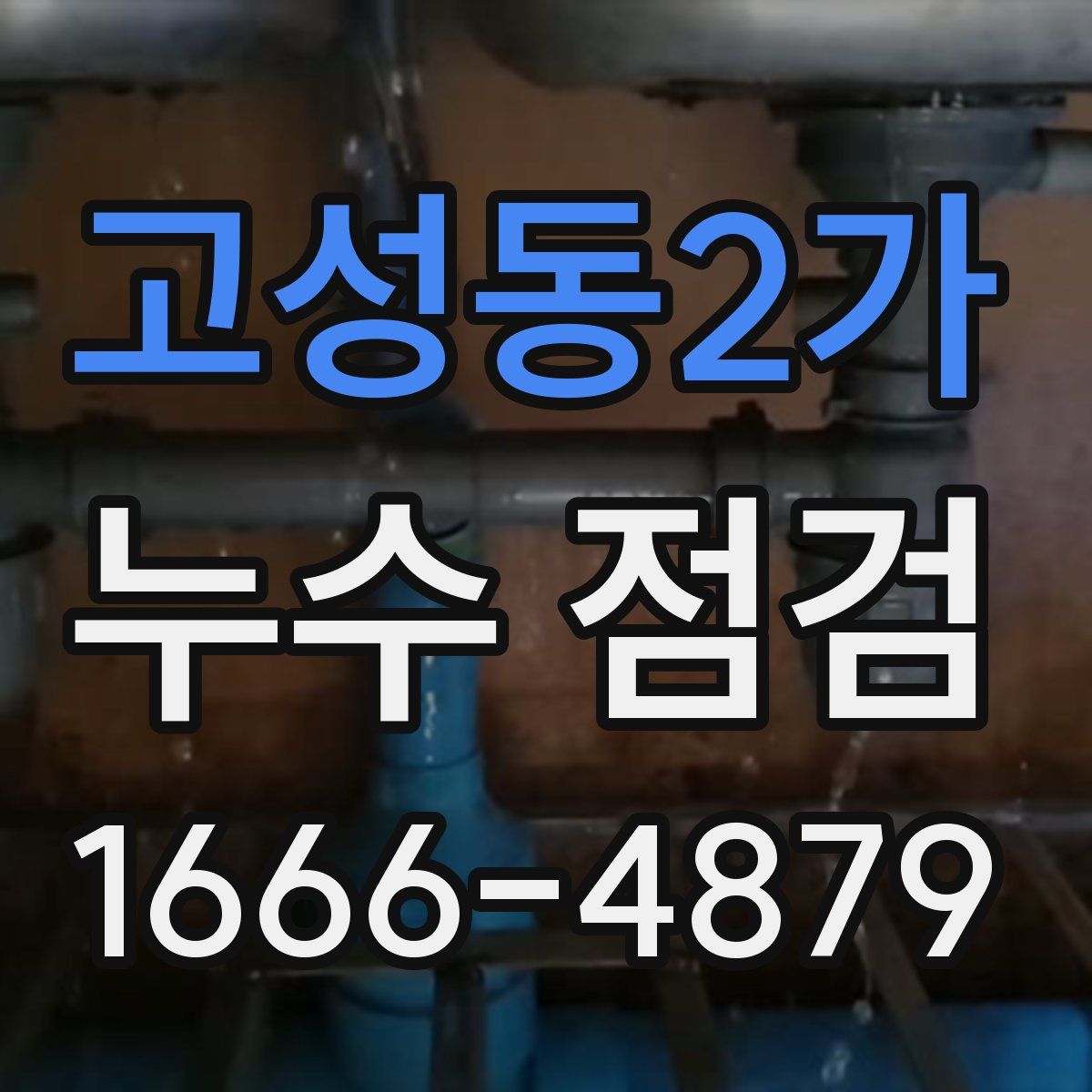 고성동2가 누수 점검