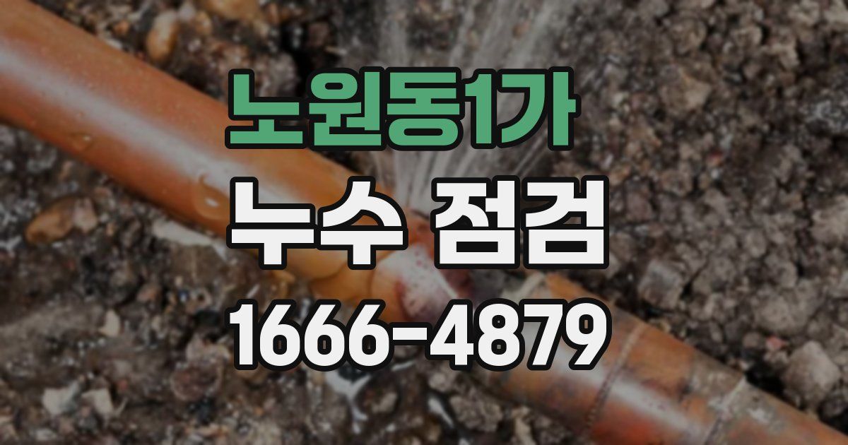 노원동1가 누수 점검