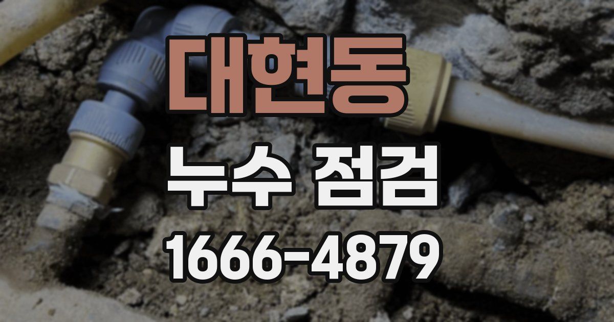 대현동 누수 점검
