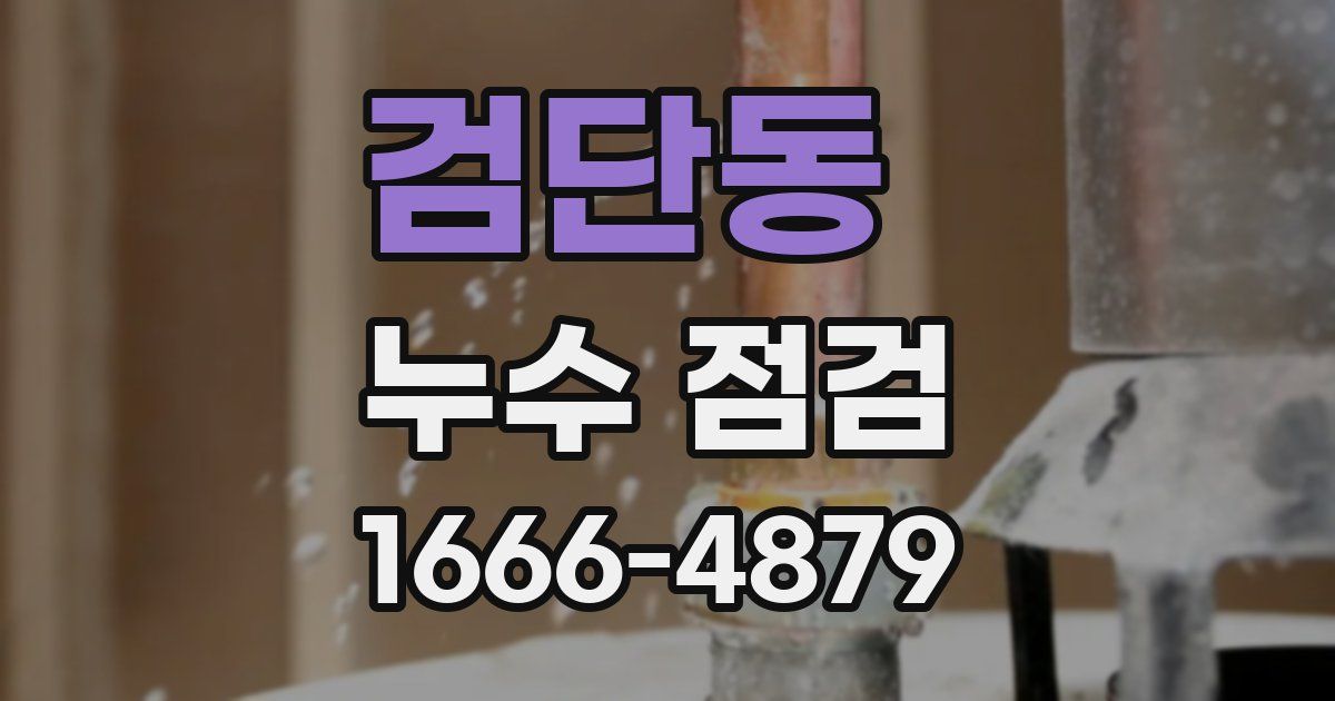 검단동 누수 점검