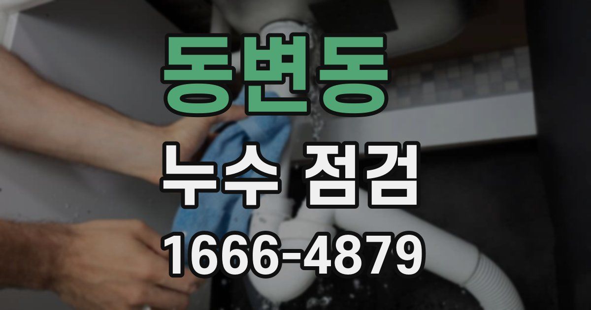 동변동 누수 점검