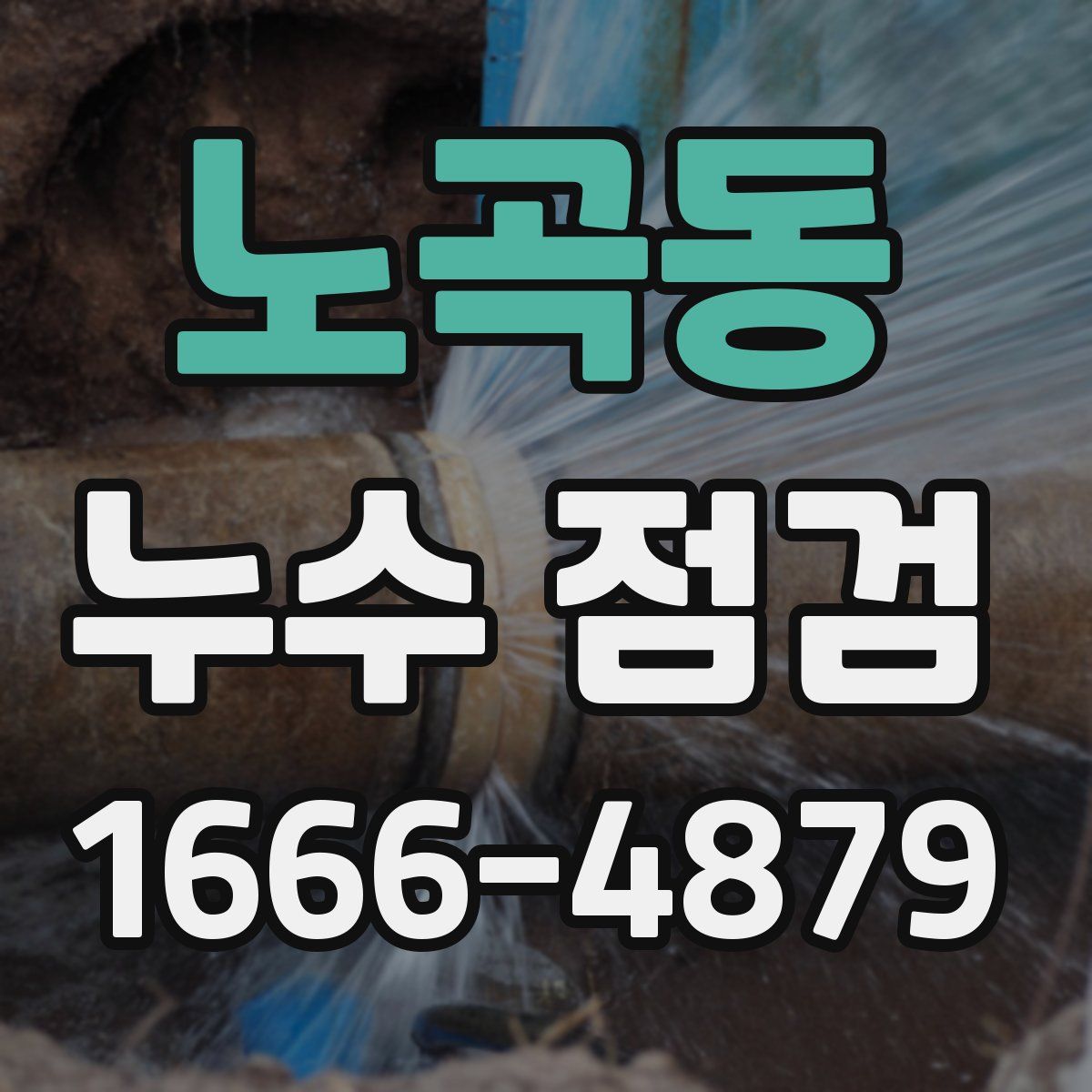 노곡동 누수 점검