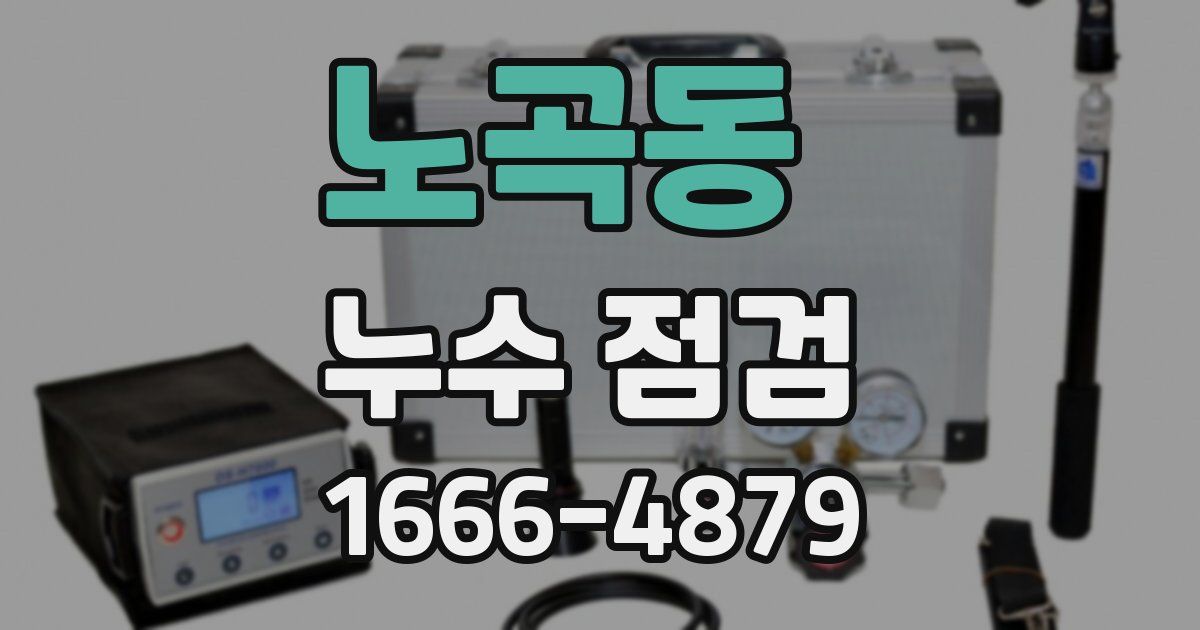 노곡동 누수 점검
