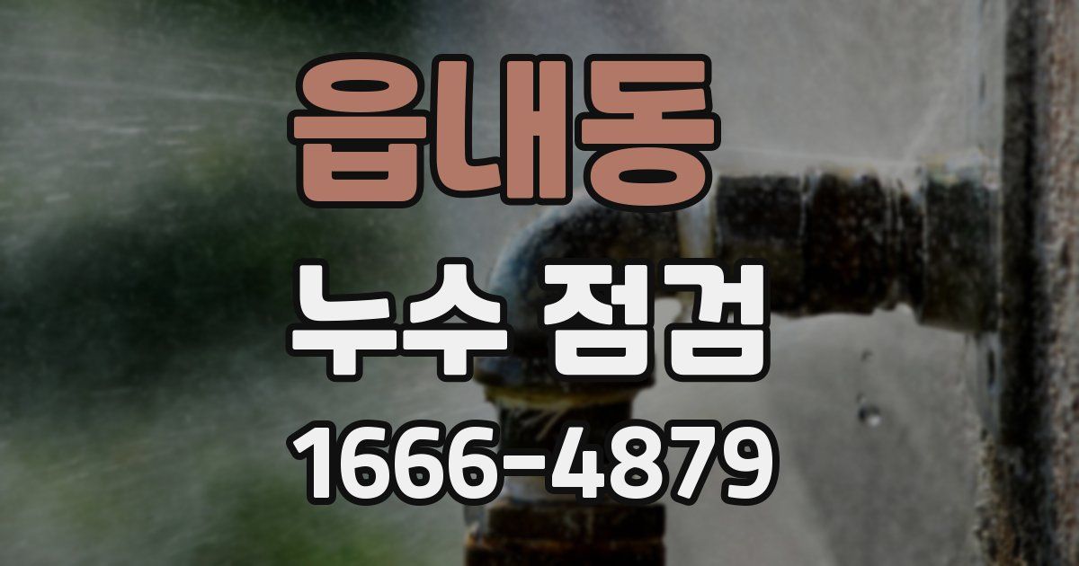 읍내동 누수 점검