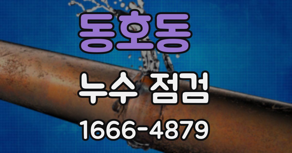 동호동 누수 점검