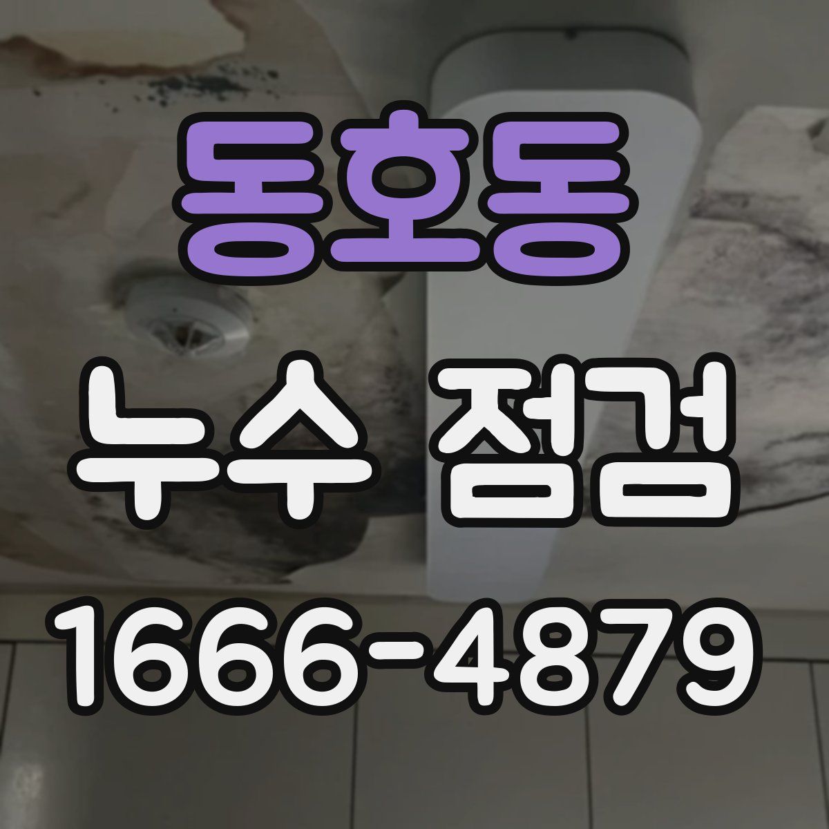 동호동 누수 점검