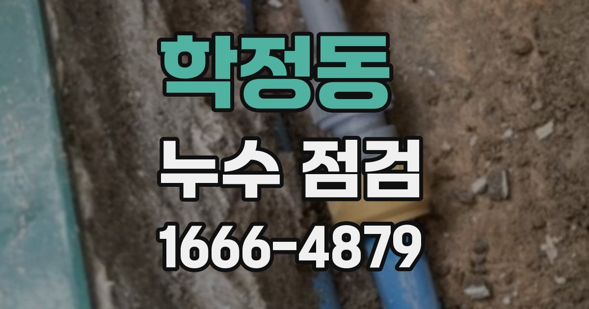 학정동 누수 점검