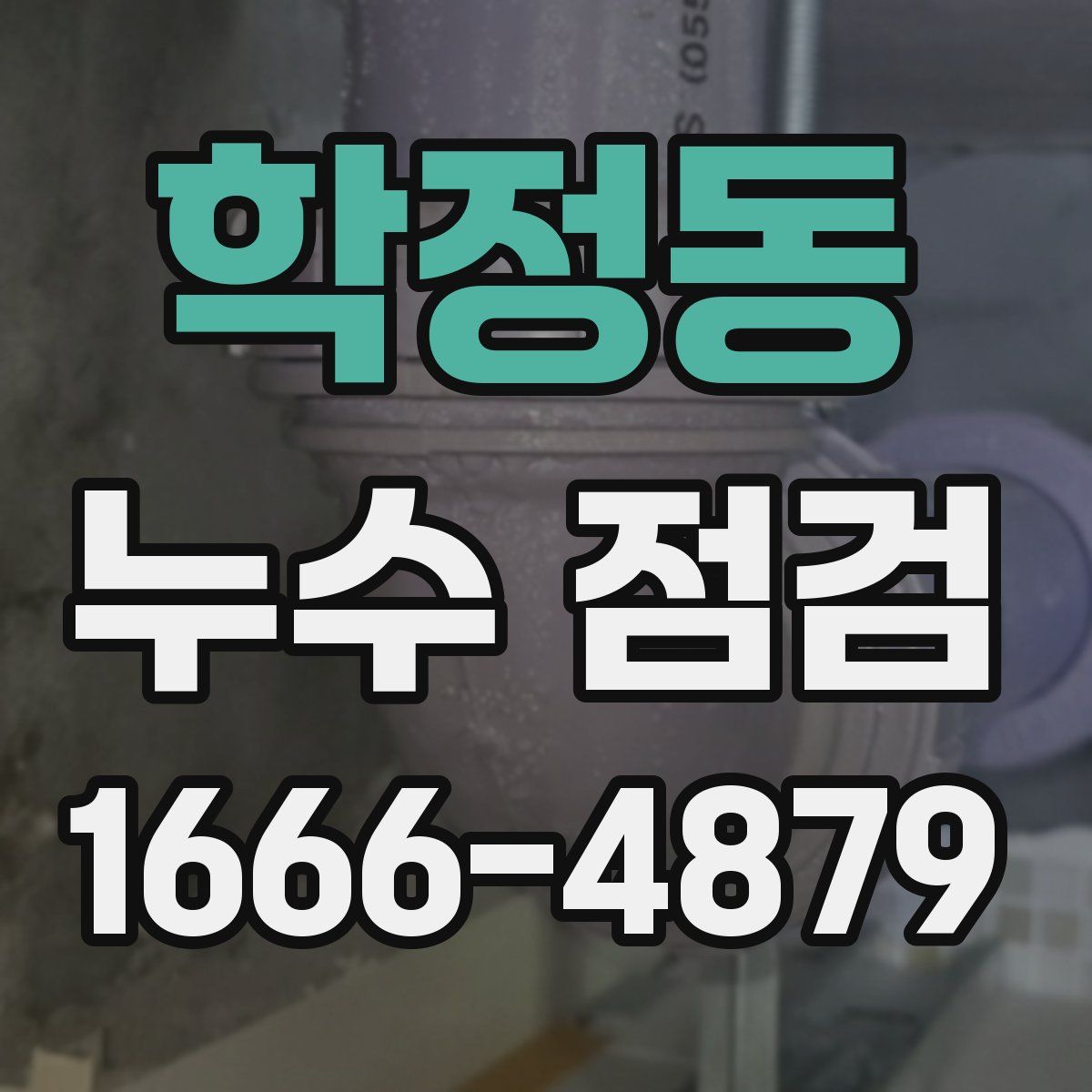 학정동 누수 점검