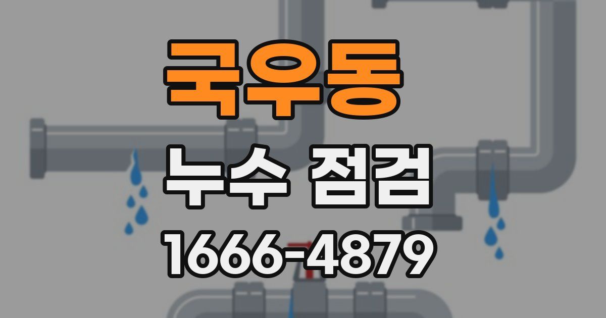 국우동 누수 점검