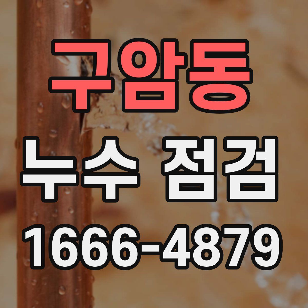 구암동 누수 점검