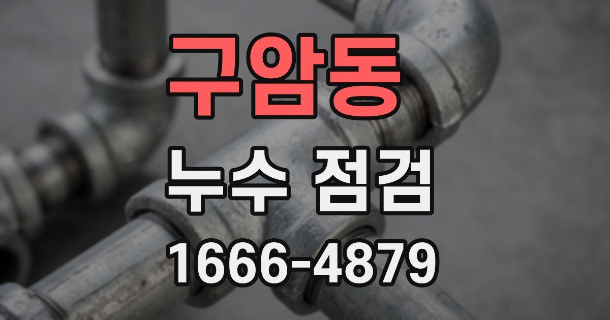 구암동 누수 점검