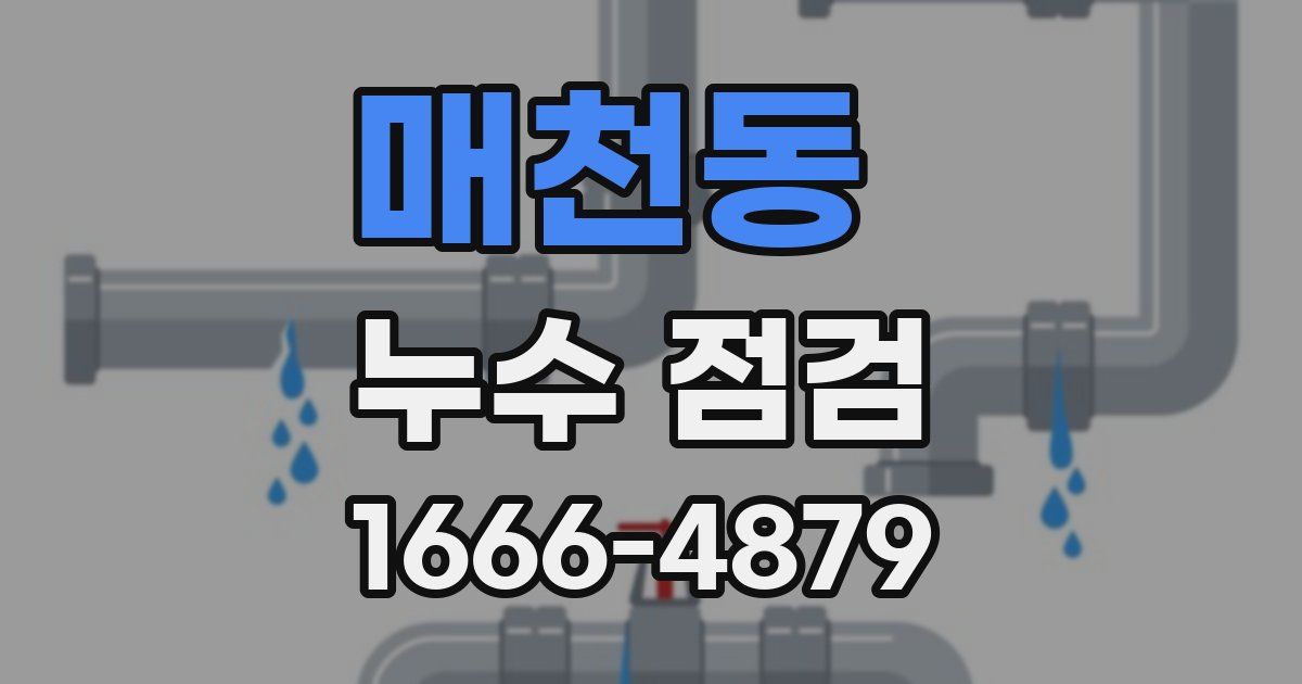매천동 누수 점검