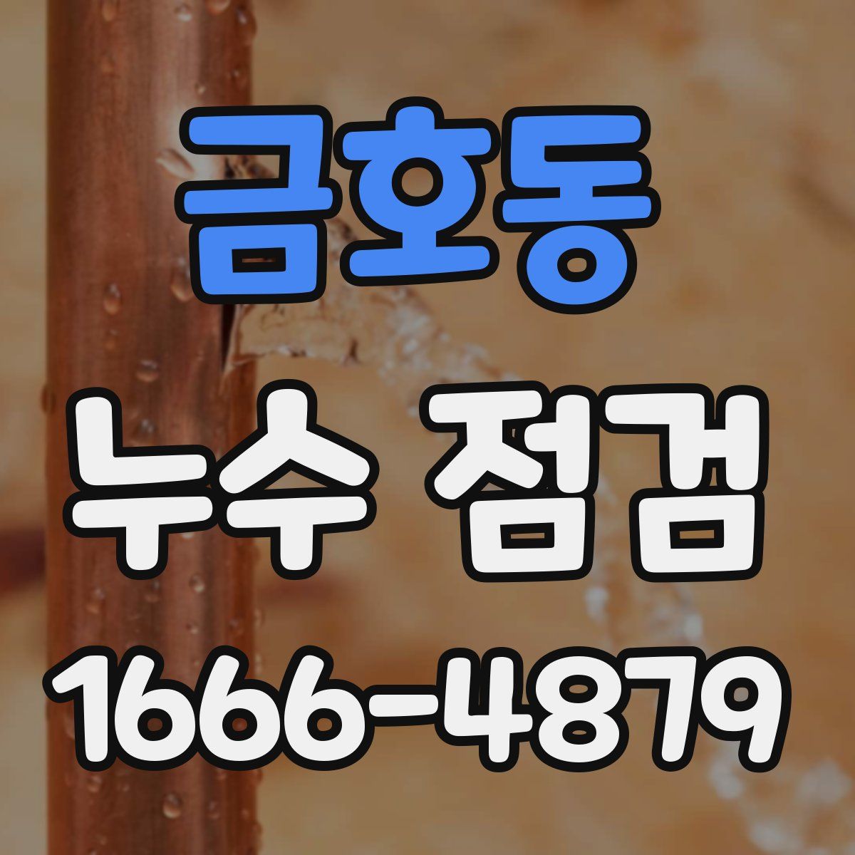 금호동 누수 점검