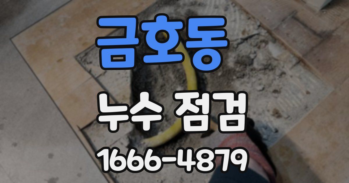 금호동 누수 점검