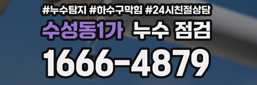 수성동1가 누수 점검