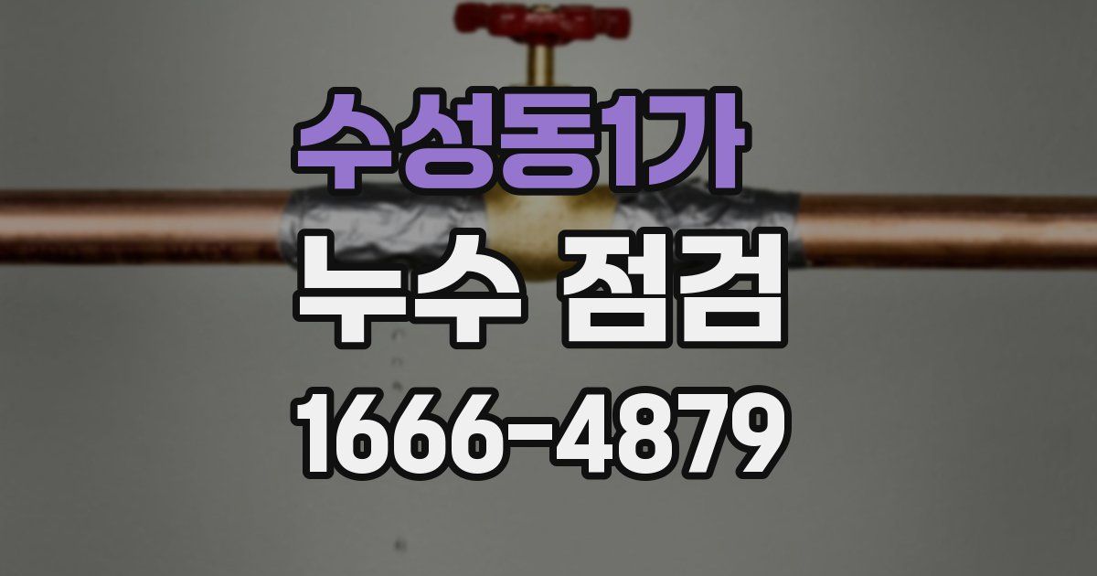 수성동1가 누수 점검