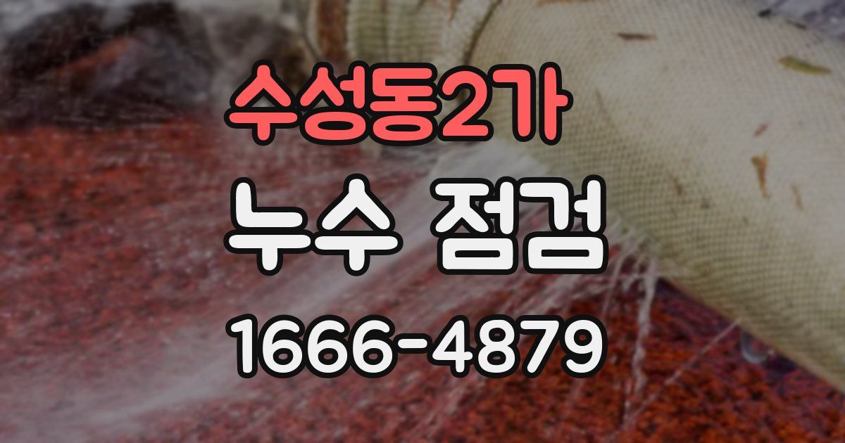 수성동2가 누수 점검