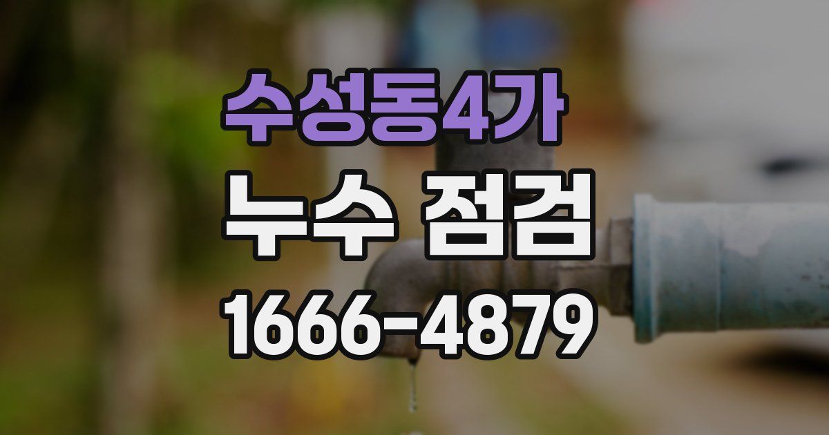 수성동4가 누수 점검