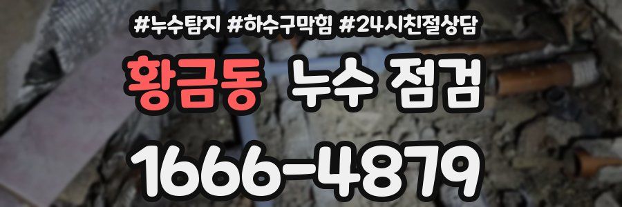 황금동 누수 점검